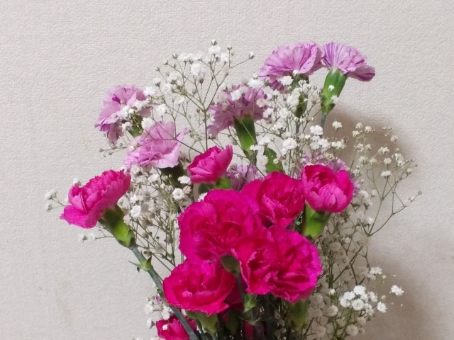 カーネーションの写真（夏の供花）