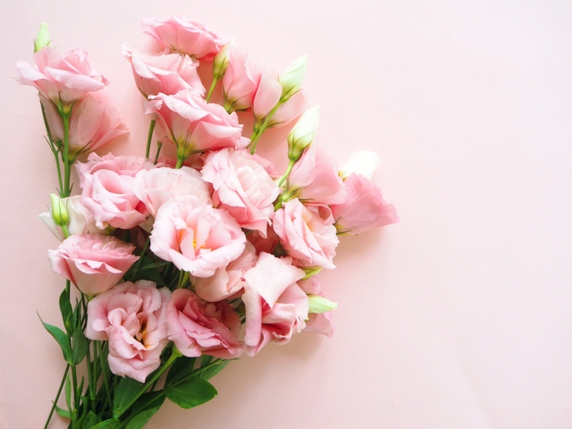 トルコキキョウの写真（夏の供花）