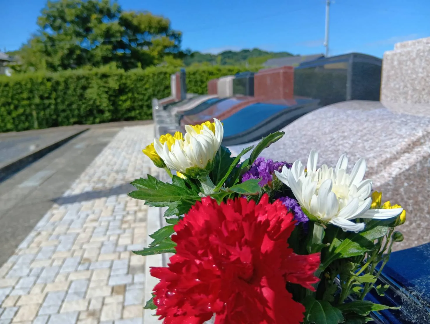 福てらす墓園の家族墓と菊の花