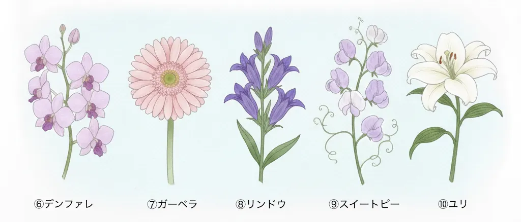 冬の花６〜１０をイメージした色鉛筆イラスト